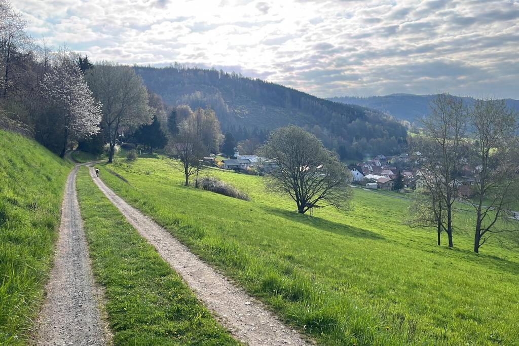 Maisonette Fuer 6P Mit Toller Aussicht Floh-Seligenthal Esterno foto